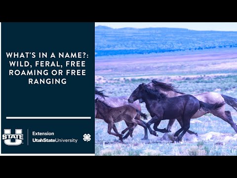 What's in a Name?: Wild, Feral, Free Roaming or Free Ranging