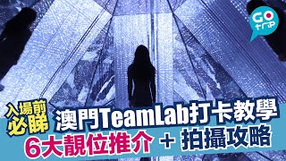 【#GOtrip澳門】澳門teamLab嚴選6大打卡位