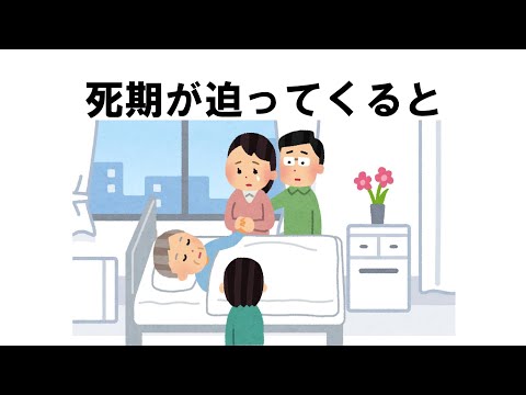 命の雑学#雑学#睡眠#面白い#ゆっくり#おすすめ