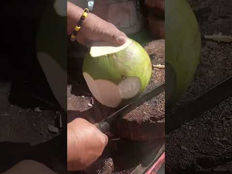 coolest coconut cutting style Asmr #satisfying #coconut #coconutcutting #youtubeshorts #Gatchie Jr