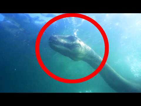 Real Loch Ness Caught On Camera? Terrifying Sightings Experts Can’t Explain