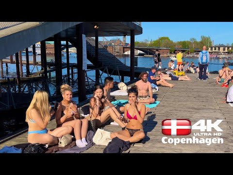 [4k] 🇩🇰 Kalvebod Brygge Harbor Beach, Summer 2023, Beach Walk, Copenhagen Denmark