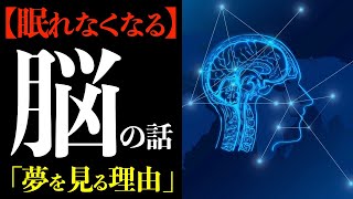 【脳の仕組み】マジで眠れなくなる脳科学「夢を見る理由」