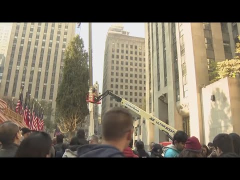 Rockefeller Center 'Christmas Tree' arrives in New York City