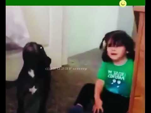 #fyp #baby #babylove #lovingbaby #funny #funnyvideos #amazing #reaction #cute #HolidayO... #shorts