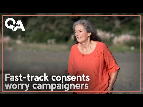 Fast-track consent bill: Environmentalists raise alarm | Q+A 2024