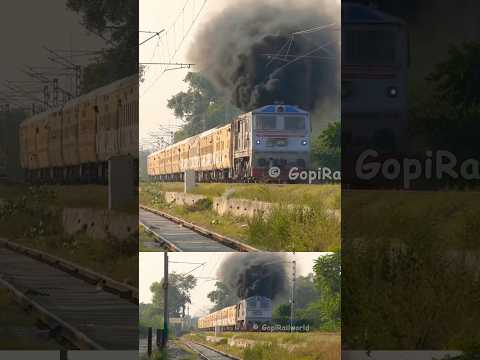 Hardcore SMOKING DUAL CAB ALCo TKD WDP3A "PUSHPAK" #shorts #trainvideo #passengertrain #dieseltrains