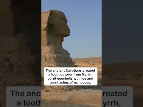 How EGYPT Invented TOOTHPASTE #shorts