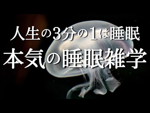 【生涯睡眠時間は28年】睡眠用雑学の決定版！ 心地良い眠れる雑学