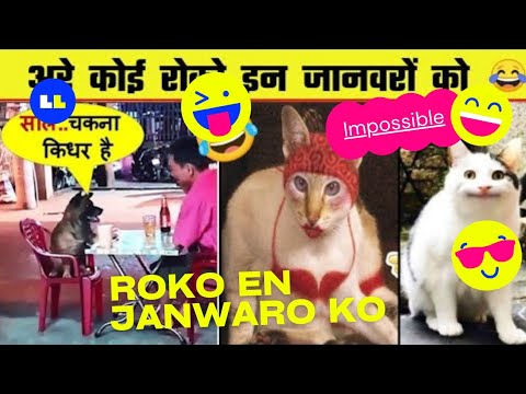 आरे कोई रोको इन जनवारो को | Are Koi Roko In Janwaro ko | YouTube Aliens #funnyanimals #petanimals