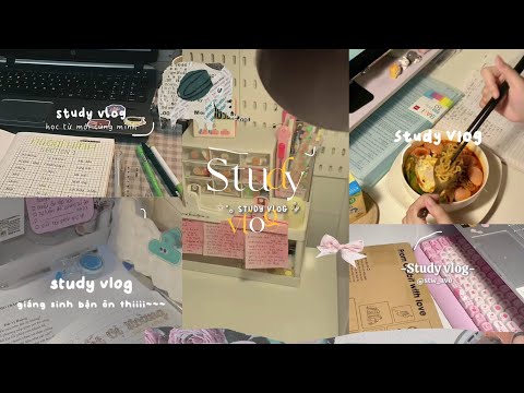 #14 #xh #tiktok #studyvlog ◞  🌷 ೕ Tổng hợp các video study vlog trên tiktok ◞  🖇️