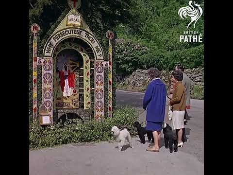 Well Dressing  #interesting  #history  #traditional  #art  #villagelife  #oldisgold