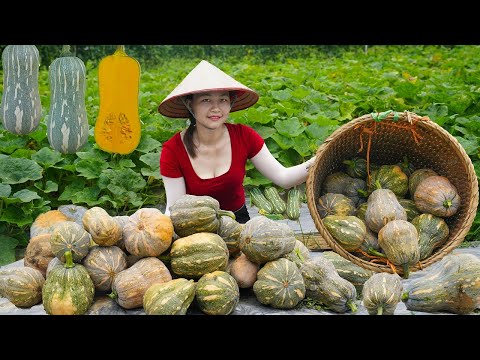 Harvest in Summer - Harvest Pumpkin, Go to countryside market sell, Cook pumpkin soup that kids like