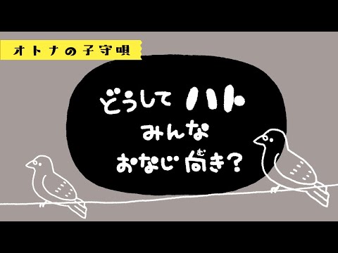 【歌詞つき】どうしてハトみんなおなじ向き？ ピタゴラスイッチ【子守唄+オルゴール】 睡眠用BGM