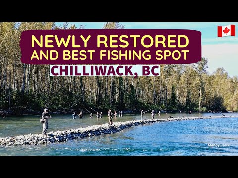 260🇨🇦 Newly restored and best fishing spot in Chilliwack