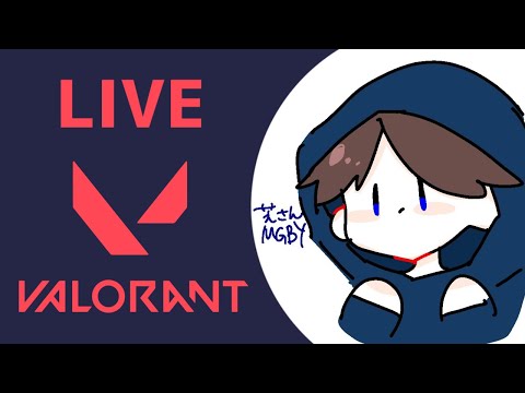 【VALORANT】なんですかこのげぇむは