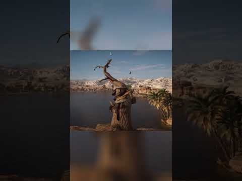 Assassin's Creed Origins Syncronization View Point White Desert Oasis