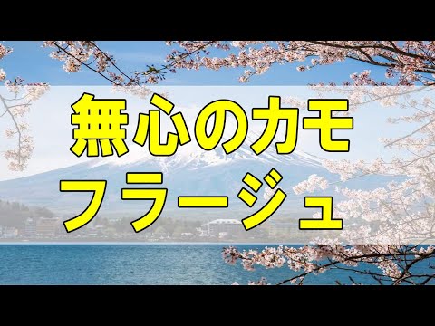 テレフォン人生相談🌻 無心のカモフラージュ 女のイラ立ち！