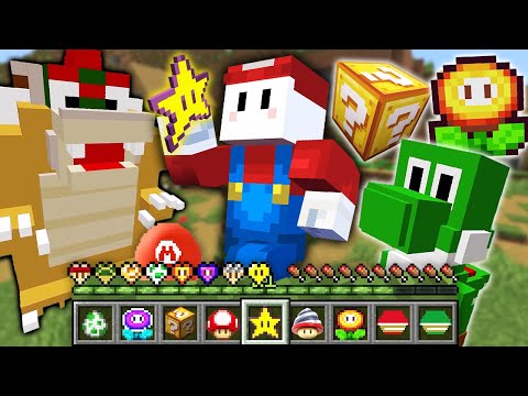 マリオのアイテムが作れる世界でサバイバル【マインクラフト】