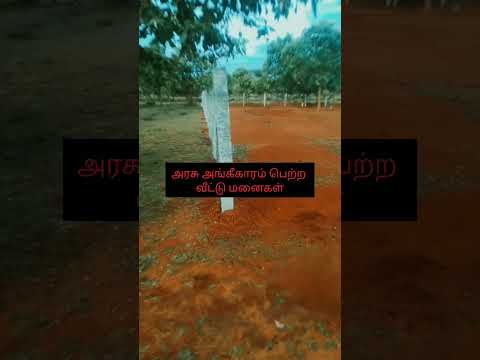 தேனி DTCP APPROVED LAND FOR SALE CALL NOW - 8682808090 #trending #dtcp #theni #viral #lowbudget