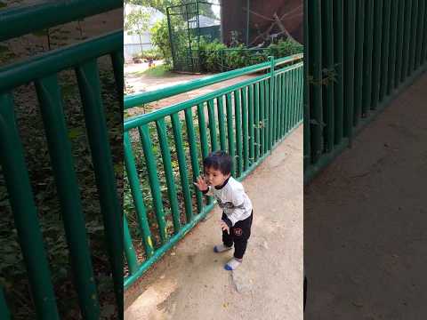 #throwback 2yr old Minnie papa #happybaby #minnie #firstzoovisit