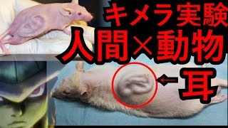 【キメラ編1】人間×動物～禁断の科学～