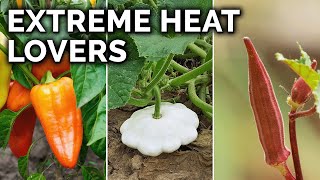 7 Perfect Vegetables to Grow in Hot Climates