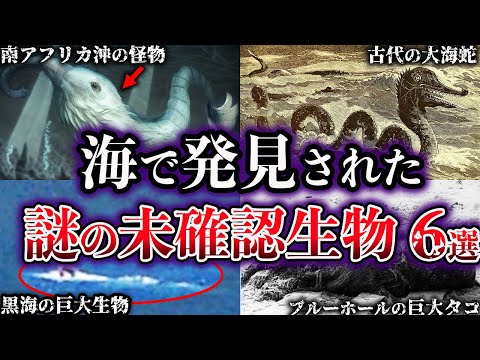 【ゆっくり解説】海で発見された謎の未確認生物６選【UMA】