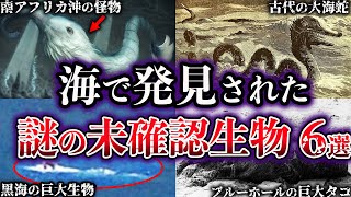 【ゆっくり解説】海で発見された謎の未確認生物６選【UMA】