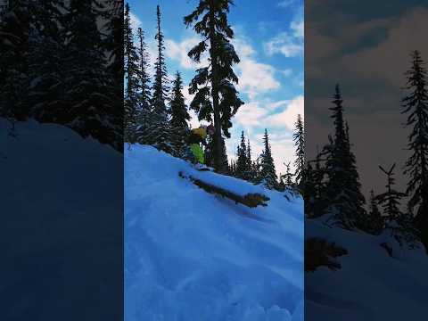 Snowboarding on a Powder Day at Whistler Blackcomb #powderday #freeride #freestyle #snowboarding