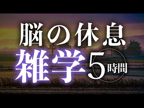 【睡眠導入】脳の休息雑学5時間【合成音声】