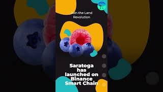 $SRT #Saratoga #NFT#BNBSmartChain