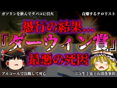 【ゆっくり解説】【ダーウィン賞】最も愚かな○因（シイン）5選『闇学』