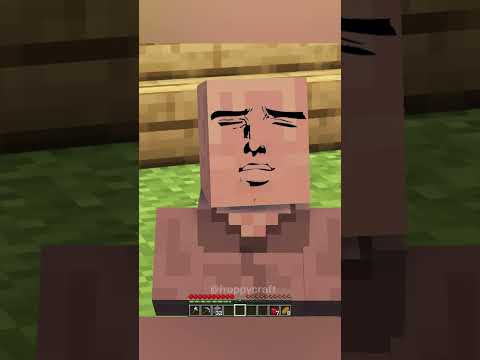 Minecraft Meme