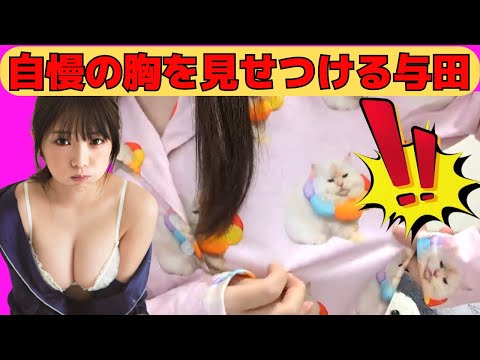 【与田祐希】自慢の胸を見せつけ、キャン玉トークするよだちゃん/文字起こし（乃木坂46・のぎおび）