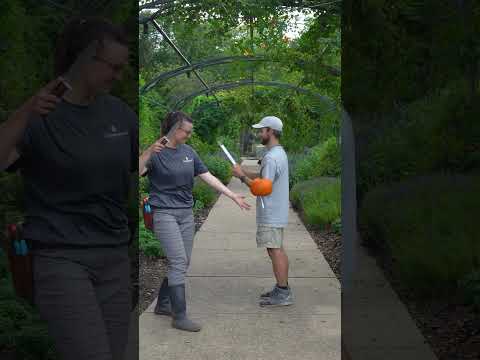 Cheekwood Harvest Opens September 14