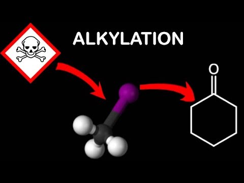 Alkylation of Cyclohexanone