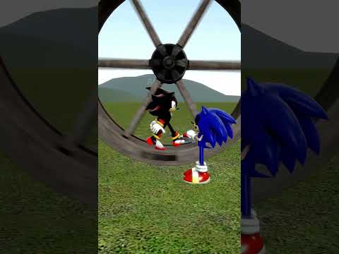 I Tested Sonic Transform In The Treadwheel Challenge