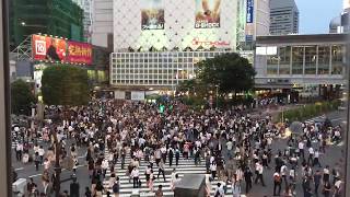 【東京涉谷】看著一群人過馬路好爽！真的只是過馬路．．．