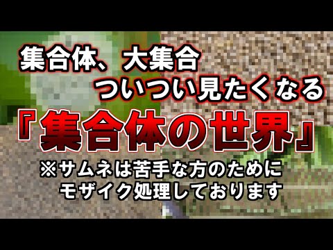 【ゆっくり解説】集合体大集合　ついつい見たくなる『集合体の世界』