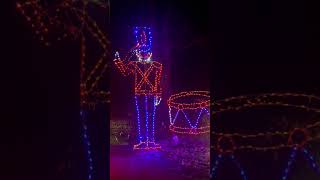 Come see holiday lights with me! #shorts #winter #holidays #christmaslights #holidaylights