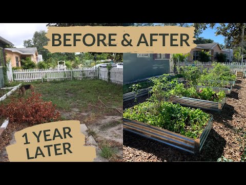 Urban Homestead Garden One Year Later