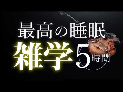 【睡眠導入】最高の睡眠雑学5時間【合成音声】