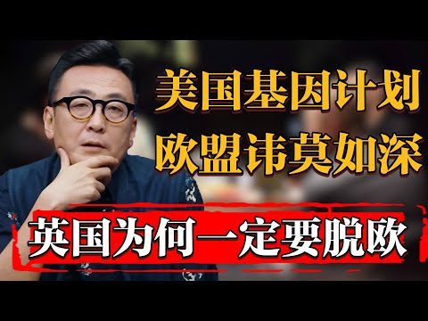 爲何英國一定要脫歐？歐盟對美國人類基因計劃如此忌憚#纪实 #时间 #窦文涛 #马未都  #圆桌派 #观复嘟嘟 #历史 #文化 #聊天