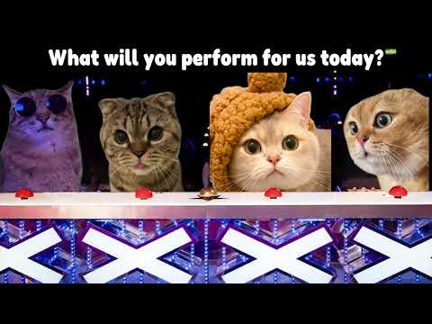 CAT MEMES: Competes on America's Got Talent