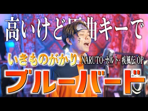 【男が原曲キーで】いきものがかり"ブルーバード"歌ってみた【NARUTO-ナルト- 疾風伝 OP】