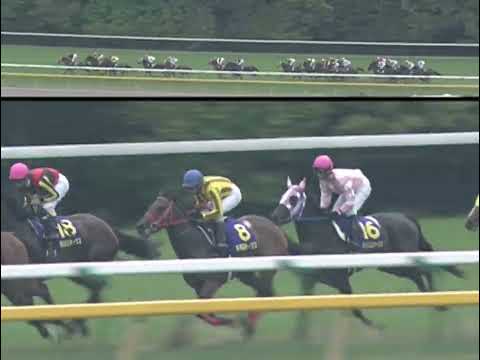 シーザリオ 2005年 第66回優駿牝馬(オークス)(GI) (優勝馬：シーザリオ)