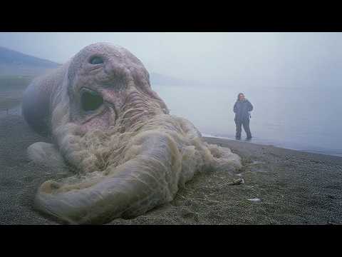 Dark And Disturbing Anomalies That Washed Up On Shore