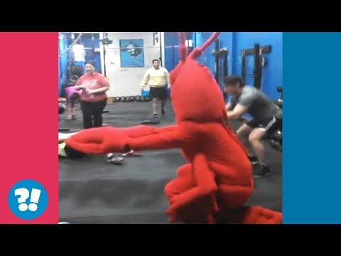 Gym Rats | Compilation