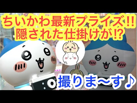 【ちいかわ】ハチワレ撮りま〜す！カメラ型ライトを取ったら凄かった！！ハチワレのカメラにはちいかわうさぎの思い出が＾＾